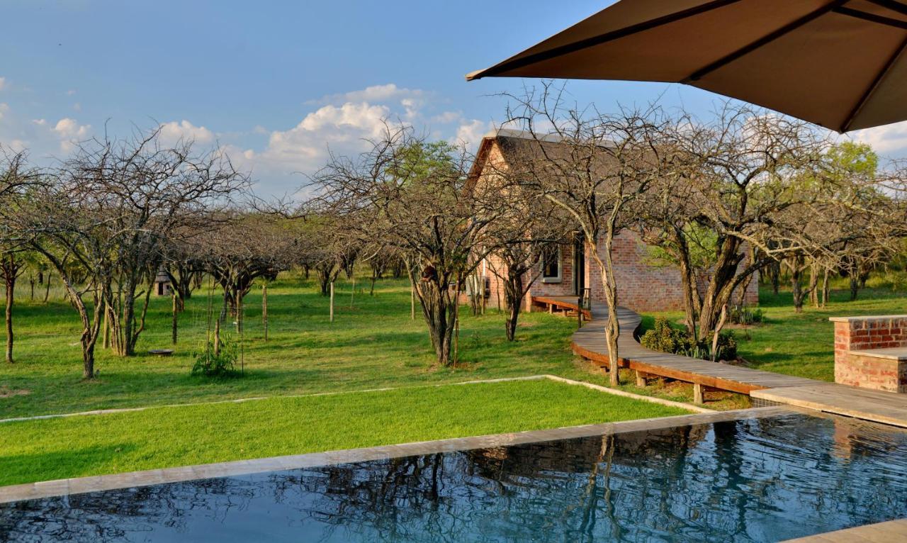 Ngala Lodge Klipdrift Buitenkant foto